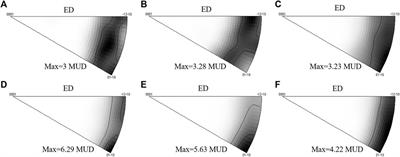 Influence of Coarse Mg3Bi2 Particles on Deformation Behaviors of Mg-Bi Alloys